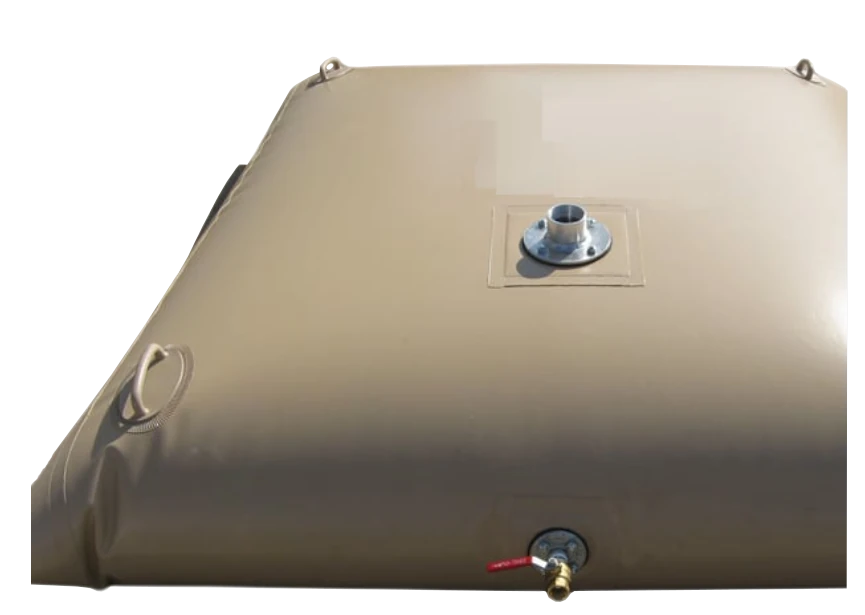 Inflatable pillow tans